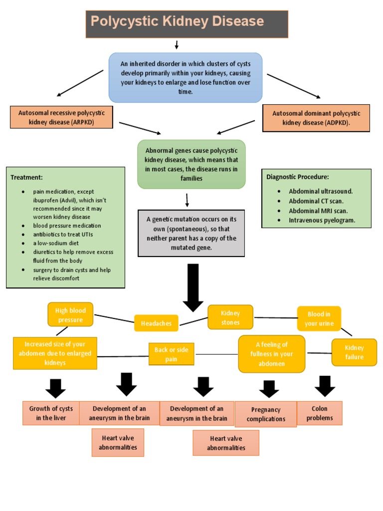 Polycystic Kidney Disease: Treatment: Diagnostic Procedure | PDF ...
