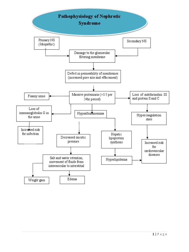 Pathophysiology of Nephrotic Syndrome | PDF