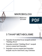 Arlin Nusi (431418065) PPT Mikrobiologi