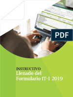 Instructivo LLENADO IT-1 2019