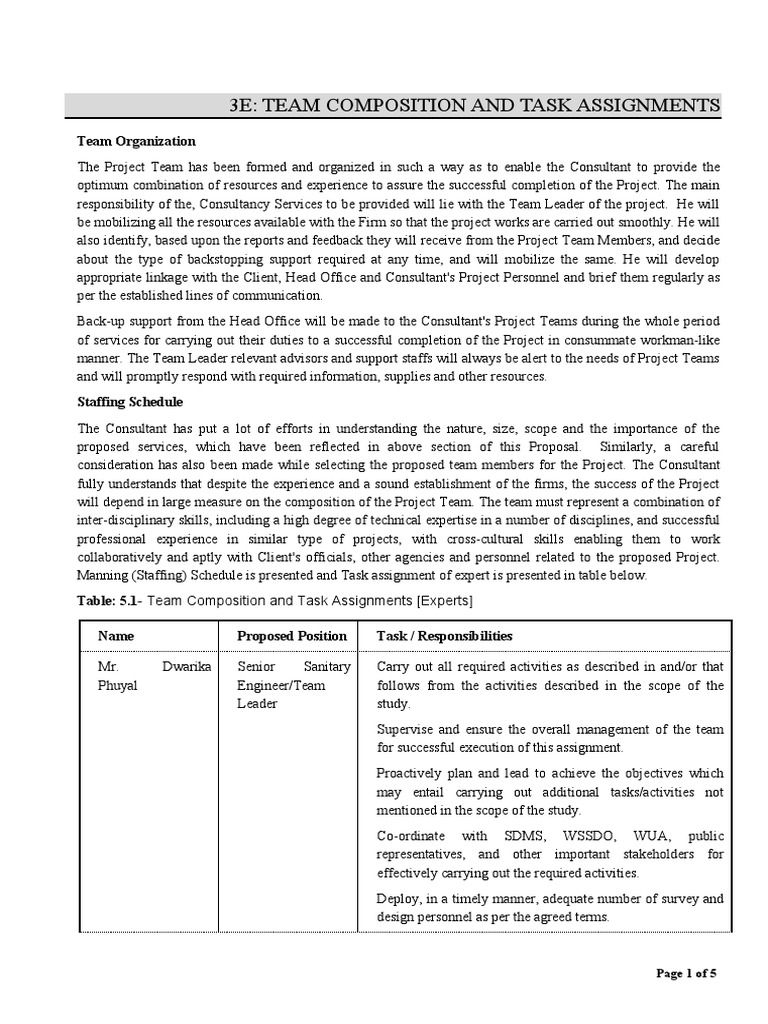 3E Team Composition and Task Assignment | PDF | Consultant | Economies