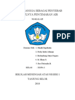 Rumah Tangga Sebagai Penyebab Timbulnya Pencemaran Air