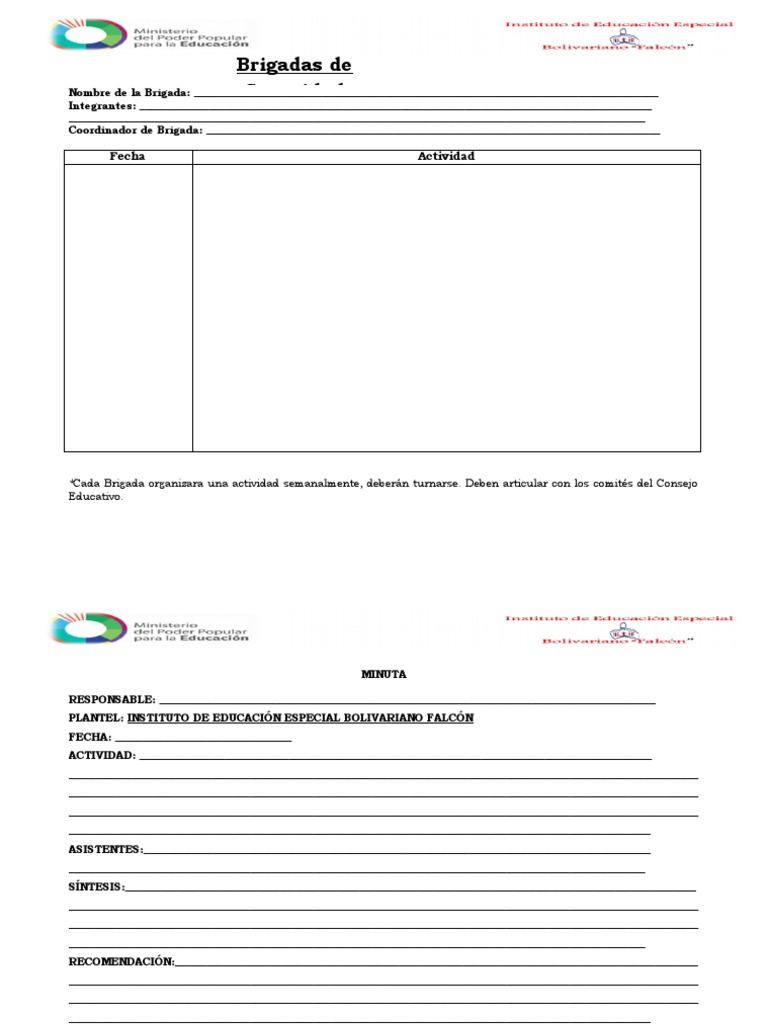Plan de Acción Brigada Convivencia y Paz | PDF | Gobierno