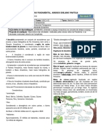 Compêndio de Estudos Amazônicos 6º ano