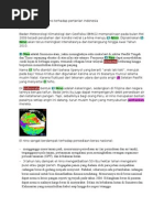 Download dampak EL NINO terhadap pertanian indonesia by Febrianty Amirah Pratama SN49698450 doc pdf