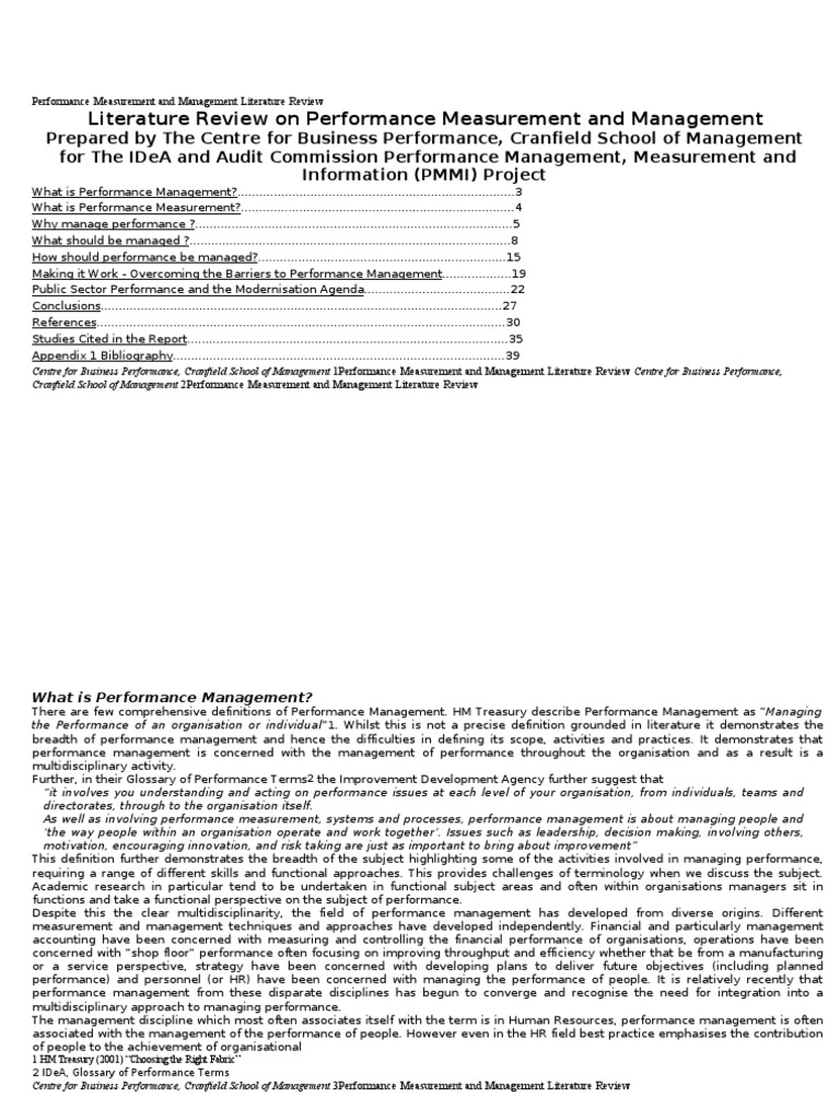 Performance Measurement and Management Literature Review | PDF ...
