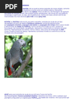 ÌYÉ ORÒ – AS PENAS SAGRADAS