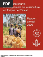 Download AfricaRice Rapport annuel 2000 by Africa Rice Center SN49702478 doc pdf