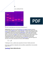 Elektroforesis N Elktroforesis Gel