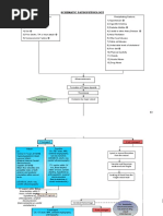 Coronary Artery Disease Pathophysiology Coronary Artery Disease Pathophysiology