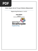 Strain Gauge Lab and Young