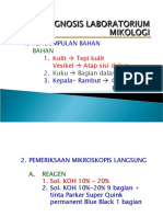 Infeksi jamur pada kulit, rambut, kuku dan mukosa