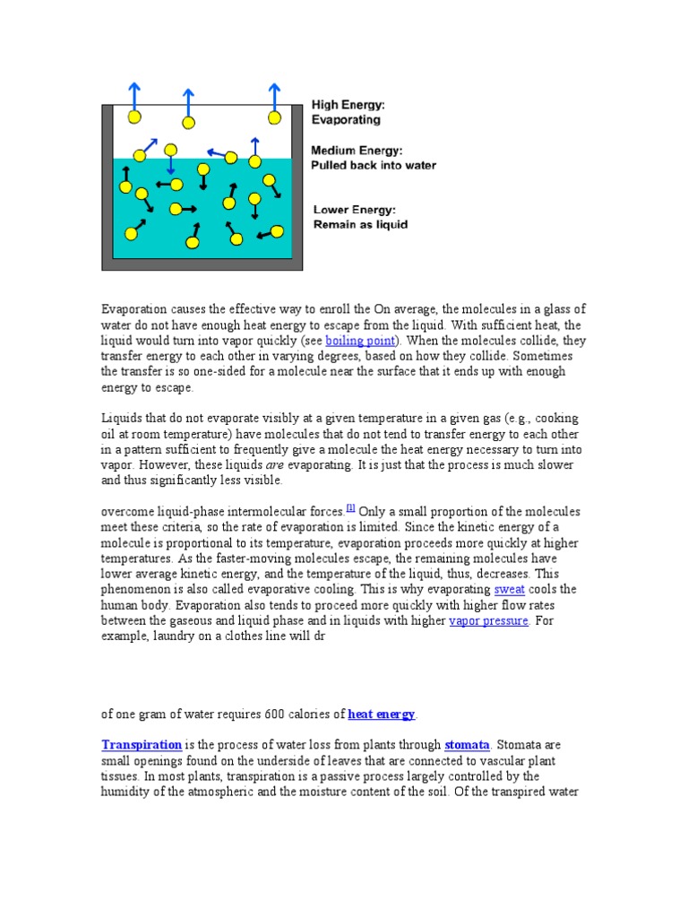 Evaporation Causes The Effective Way To Enroll The On Average PDF