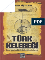 Türk Kelebeği - Ergün Hiçyılmaz