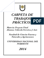 Carpeta de Proyecto Final