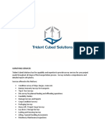Trident Cubed Solutions PC and Survey Services October 2020