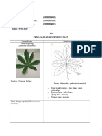 PBU19 - Kel7 - Tugas Pertemuan 11 - LKM Morfologi Daun1111