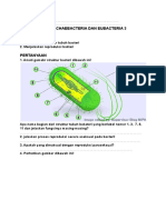 LKPD Archaebacteria Dan Eubacteria 3