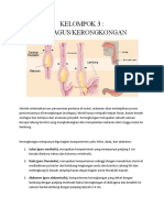 Kerongkongan - Kelompok 3 - XI MIPA 3