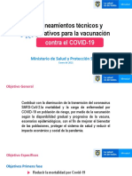PP Lineamientos técnicos y operativos PNV (1)