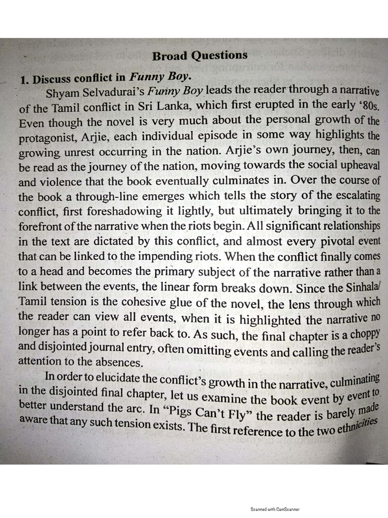 Conflict in Funny Boy PDF