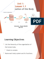 Lesson 1.1 - Body Systems