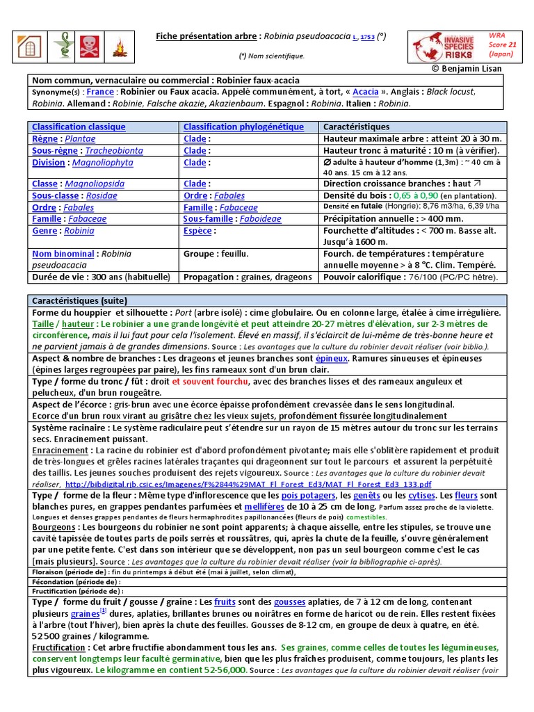 Fiche Technique Du Robinier Faux acacia PDF Botanique Plantes