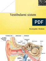Vestibularni Sistem
