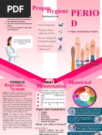 Menstrual Brochure