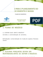 AULA 2_PLANO DE NEGOCIO - SEMENTES E MUDAS