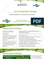 Aula 15_produção de Sementes e Mudas - Credenciamento Do Produtor de Mudas