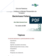 Bacterioses Foliares