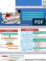 Clase 06-ANEMIA MEGALOBLASTICA