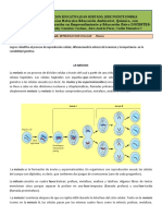 GUIA 2, 8 Meiosis RC