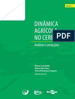 Dinamica Agricola Cerrado