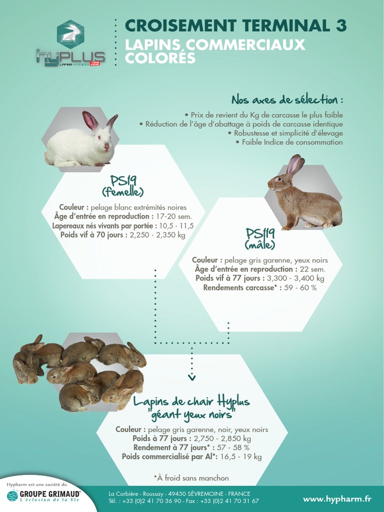 Élevage de Lapins Hyplus et PS119 | PDF