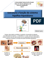 Estrutura e Função Do Sistema Hipófise-Hipotálamo