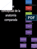 Mapa de La Anatomia Comparada - Biologia