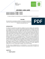 Informe Caída LibreAVANCE