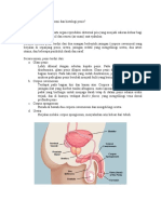anatomi dan histologi penis