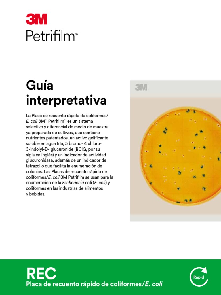 Petrifilm Rapid E.coli Interpretation Guide Spanish PDF