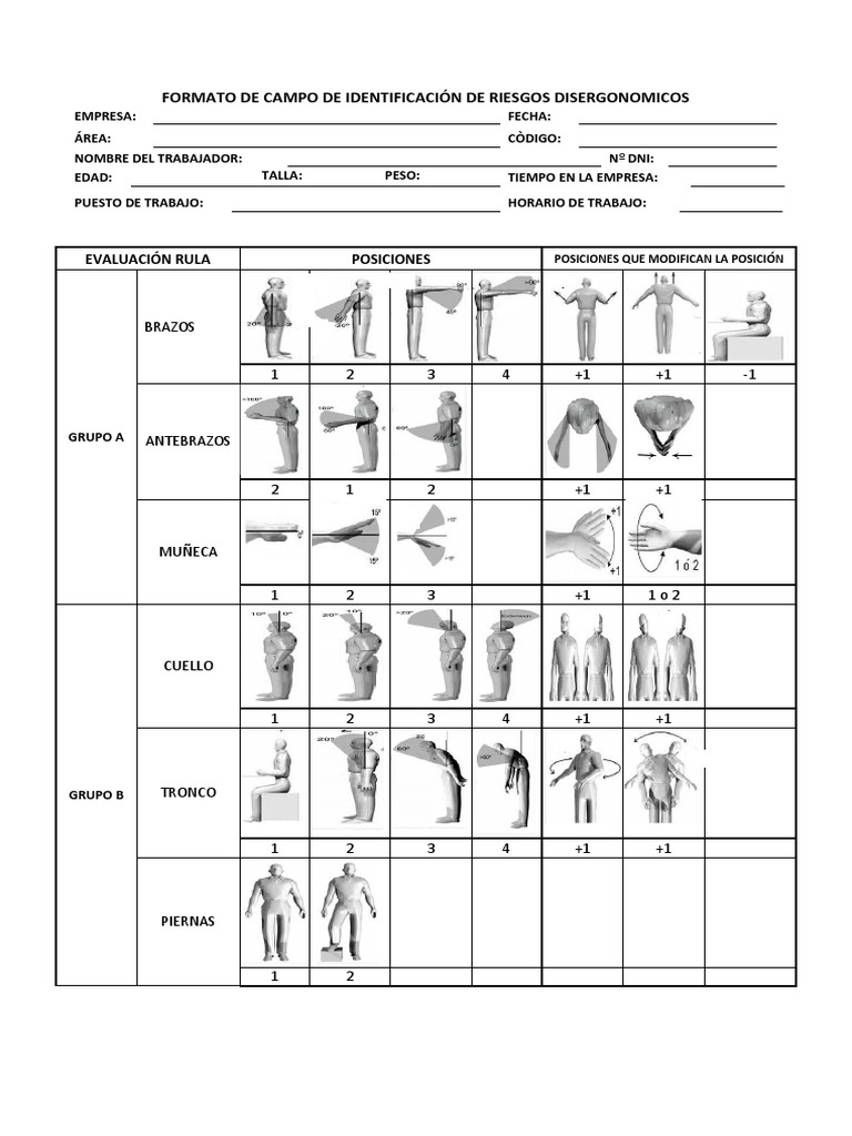 Formato de Evaluación de Riesgos Laborales | PDF