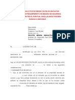 95.modelo de Solicitud de Medida Cautelar Innovativa Consistente en Requerimiento de Medidas de S