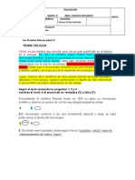 Examen Grado 6° 2