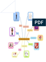 Funciones Del Sistema Endocrino