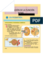 Evaluación de Función Renal Glomerular en Pediatria