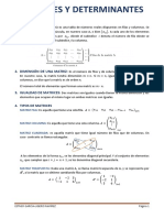 Matrices y Determinantes