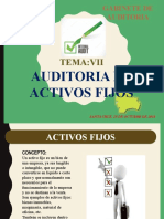 Auditoria de Activos Fijos