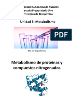 Unidad 3. Metabolismo de Proteínas y Compuestos Nitrogenados