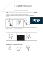 Que Hemos Aprendido Sobre Los Animales Prueba para Utp